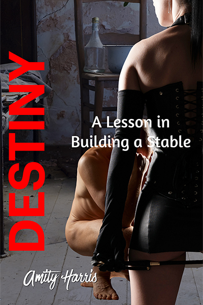 Destiny - Turning Men into Merchandise, a Female Domination novel by Amity Harris